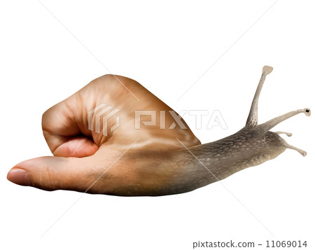 Isolated surreal snail Isolated surreal snail 11069014