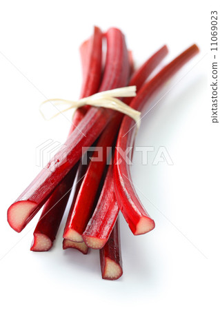 紅大黃 紅大黃 11069023