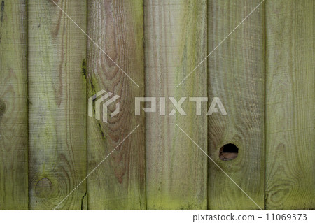 Mossy wooden fence 11069373
