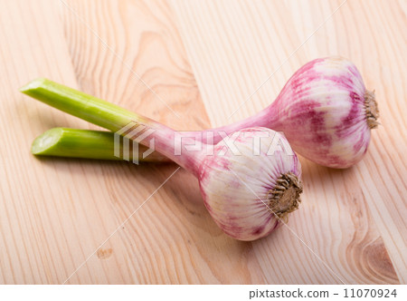 garlic 11070924