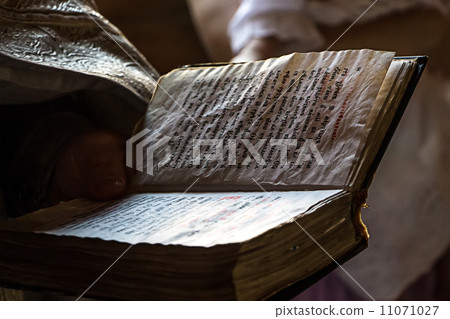 Book in hands Book in hands 11071027