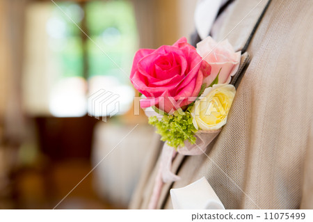 Bootonia (genuine flower rose) 11075499