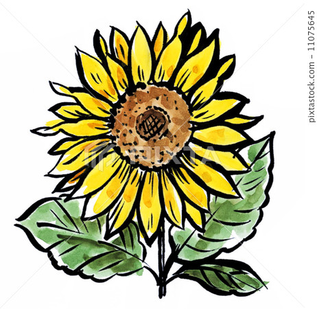 bloom, blossom, blossoms 11075645