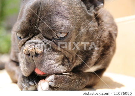 我很無聊 我很無聊 11076090