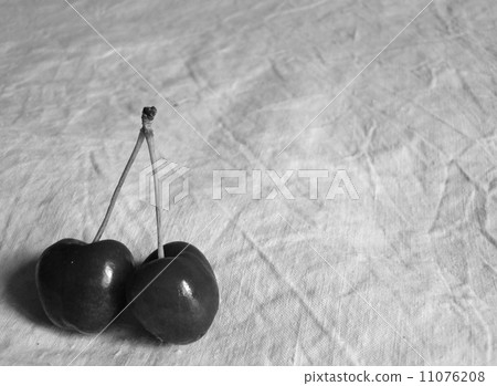 Cherries Cherries 11076208