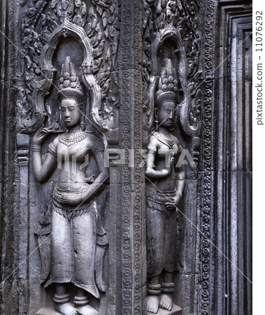 Ta Progen's Debutter 11076292