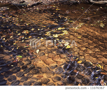 Kubar Spean 11076367