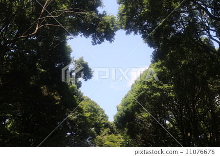 心臟 心臟 11076678