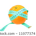 Measure tape on orange tangerine 11077374