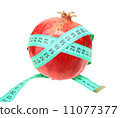 Measure tape on red pomegranate 11077377