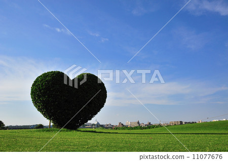 heart heart 11077676