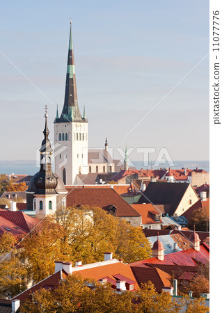 View to old Tallinn, Estonia View to old Tallinn, Estonia 11077776