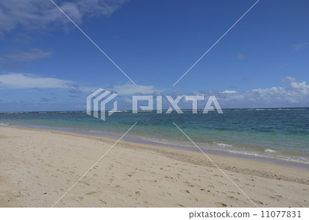 Travel Travel 11077831