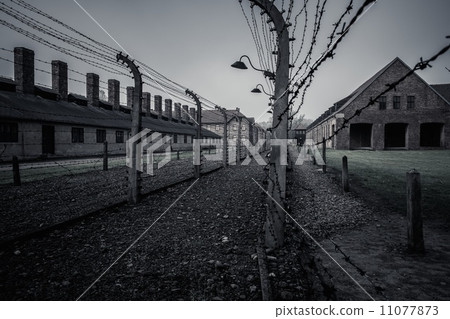 Electric fence in former Nazi concentration camp Auschwitz I, Poland Electric fence in former Nazi concentration camp Auschwitz I, Poland 11077873