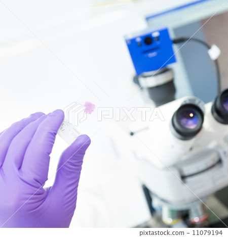 Senior scientist  microscoping in lab. 11079194