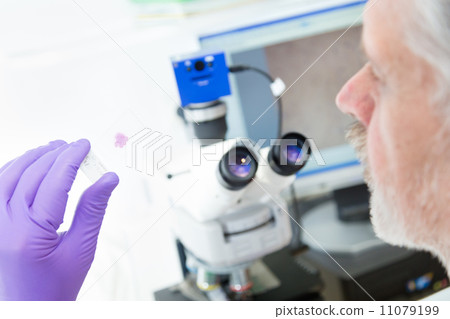 Senior scientist microscoping in lab. Senior scientist microscoping in lab. 11079199