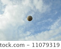 White ball 11079319
