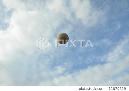 白球 11079319