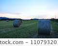 farm 11079320