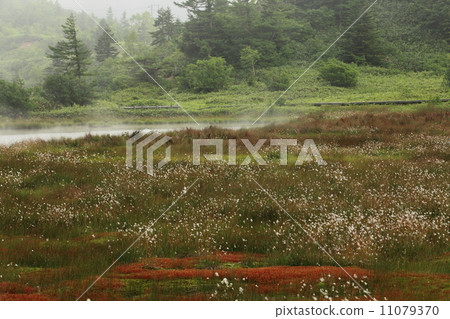 Kotatsu Shiraneyama Yuike池塘在公園 Kotatsu Shiraneyama Yuike池塘在公園 11079370