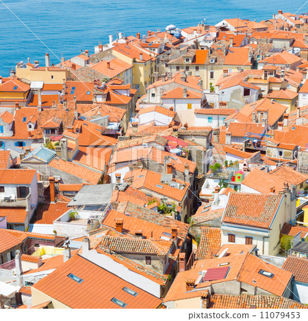 Picturesque old town Piran, Slovenia. 11079453