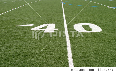 Football Field Forty 11079575