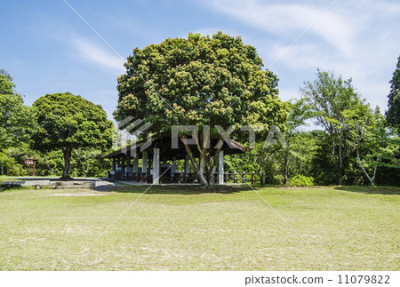 露營地帳篷站點戶外設施圖像素材 11079822