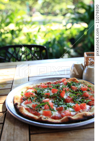 Pizza 11079890