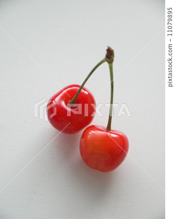櫻桃 櫻桃 11079895