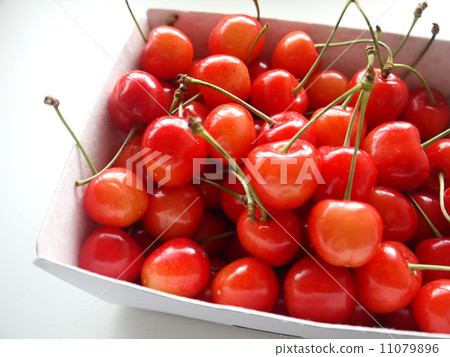 Cherry Cherry 11079896