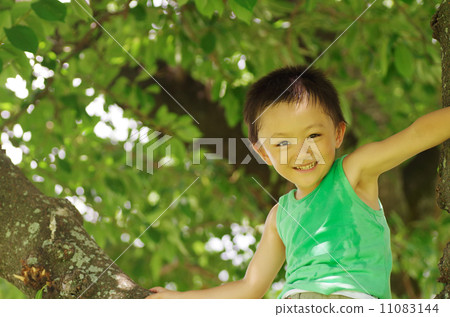 Smile under the sunbeam leaves 11083144