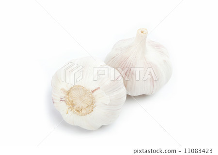 garlic bulb isolated on white background cutout 11083423