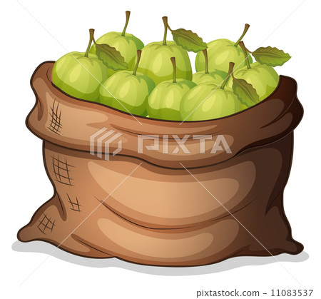 A sack of guavas 11083537