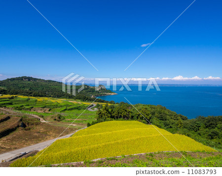 Rice terraces of Teshima that played Rice terraces of Teshima that played 11083793