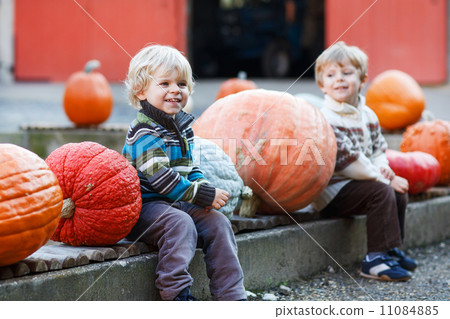 Little boy sitting on pumpkin patch 11084885