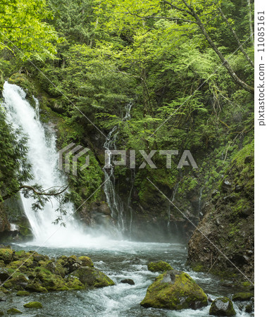 五種顏色是原始的 11085161