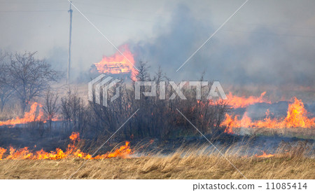 Fire on dry grass, trees and buildings inflated by a strong wind 11085414