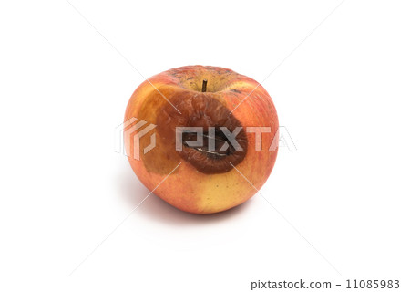 rotten apple 11085983