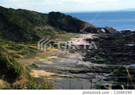 Horse doraemon and shoreline Horse doraemon and shoreline 11086390