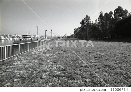 東京灣開墾土地的記錄·Yumenoshima 1990年 11086714