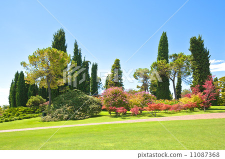 Summer park 11087368