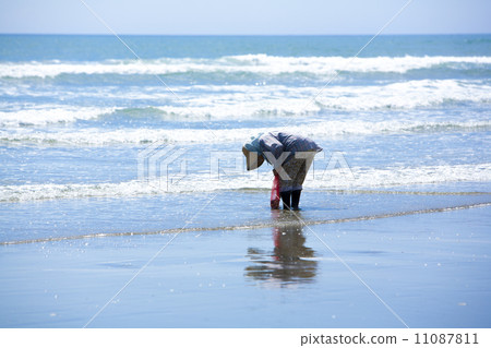 Claming Claming 11087811