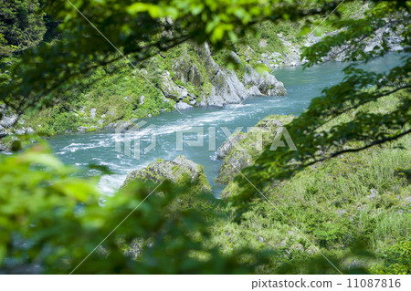 Fresh green valley Fresh green valley 11087816