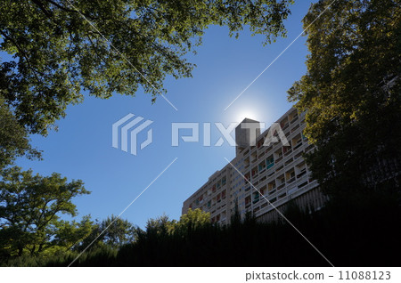 Unite 11088123