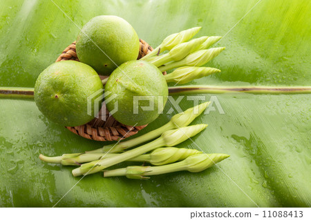 Edible flowers Moonflower (Ipomoea alba L.)and lemon. 11088413