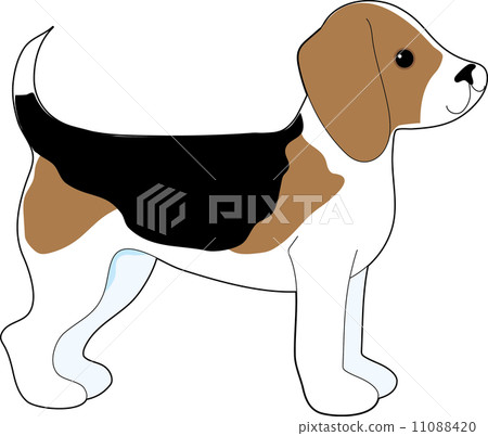 Beagle Beagle 11088420