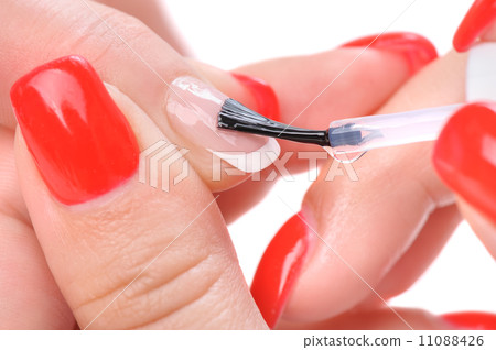 manicure, applying clear enamel 11088426