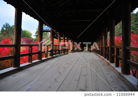 Tofukuji Temple bridge Tofukuji Temple bridge 11088944