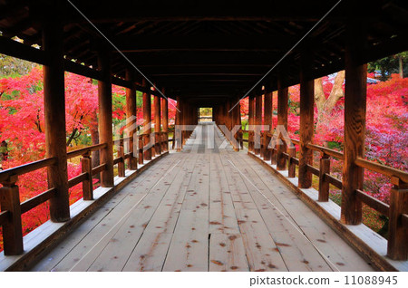 Tofukuji Temple bridge Tofukuji Temple bridge 11088945