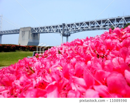 Seto Ohashi and Azalea 11089398